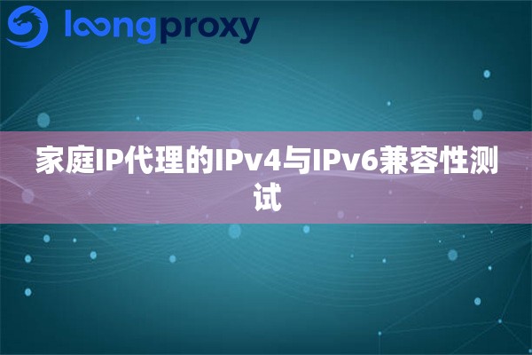 家庭IP代理的IPv4与IPv6兼容性测试