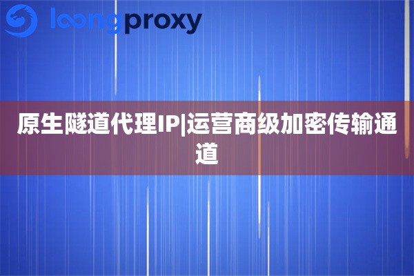 原生代理IP|运营商级加密传输通道