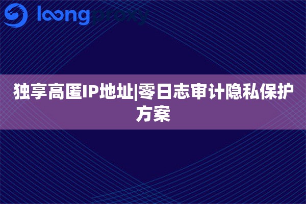 独享高匿IP地址|零日志审计隐私保护方案
