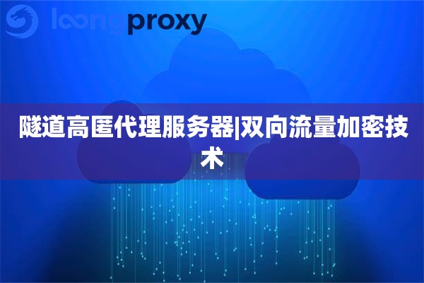 国外高匿代理服务器|双向流量加密技术
