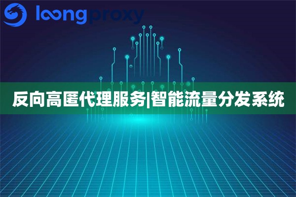 反向高匿代理服务|智能流量分发系统