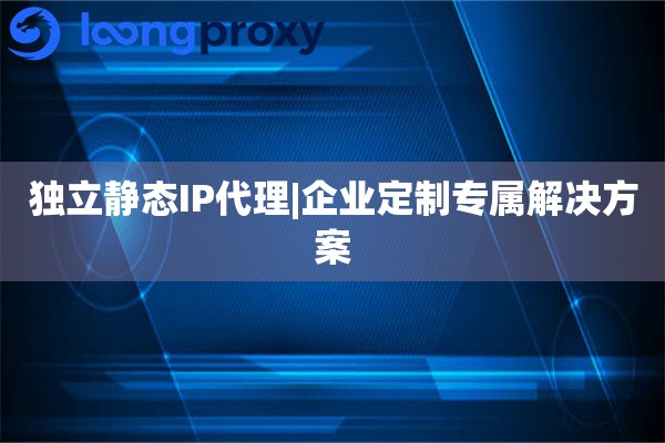 独立静态IP代理|企业定制专属解决方案