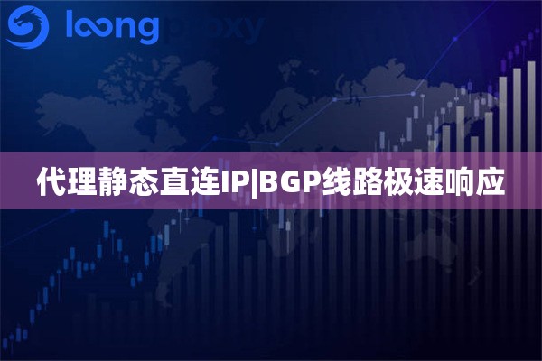 代理静态直连IP|BGP线路极速响应