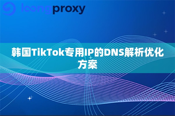 韩国TikTok专用IP的DNS解析优化方案