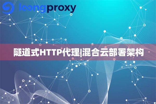 国外HTTP代理IP|混合云部署架构