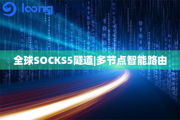 全球SOCKS5代理IP|多节点智能路由