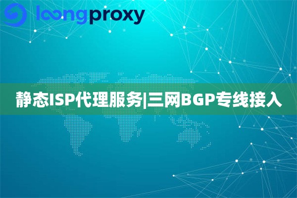 静态ISP代理服务|三网BGP专线接入