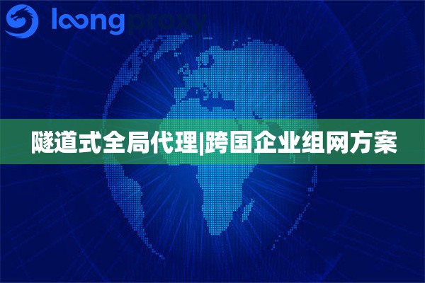 静态全局代理|跨国企业组网方案