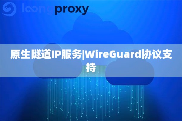 原生代理IP服务|WireGuard协议支持