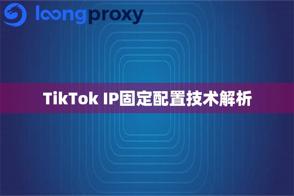 TikTok IP固定配置技术解析