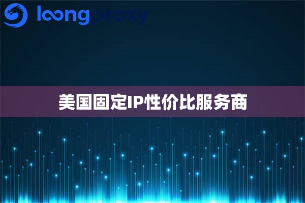 美国固定IP性价比服务商