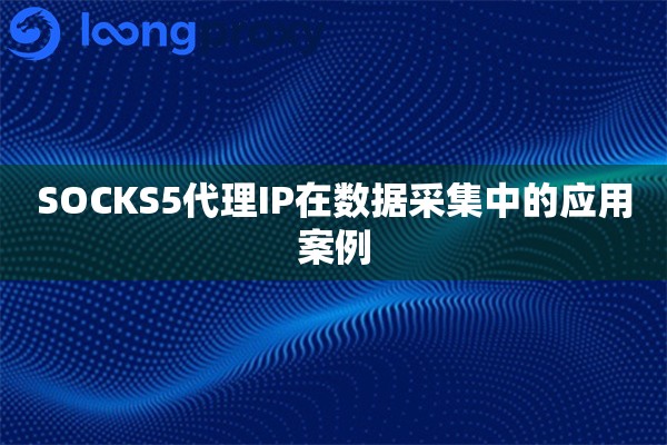 SOCKS5代理IP在数据采集中的应用案例
