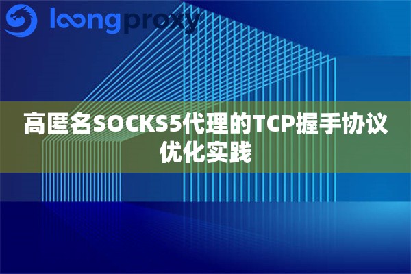 高匿名SOCKS5代理的TCP握手协议优化实践