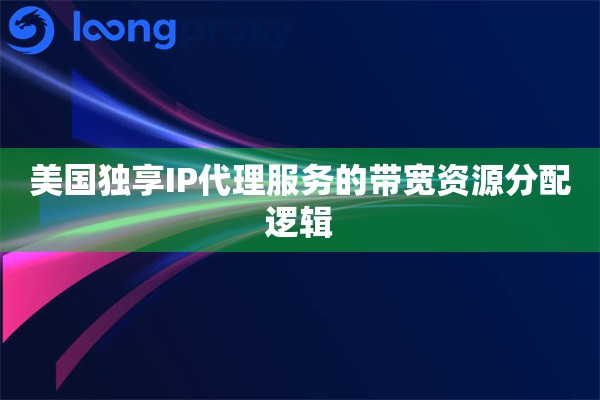 美国独享IP代理服务的带宽资源分配逻辑