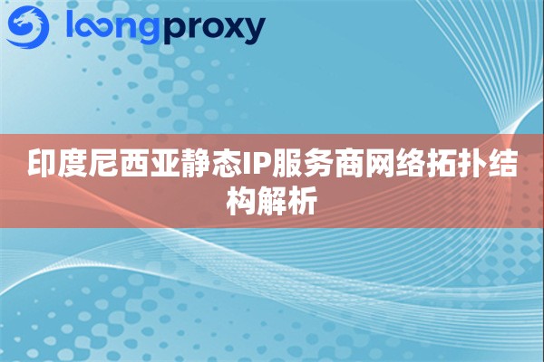 印度尼西亚静态IP服务商网络拓扑结构解析