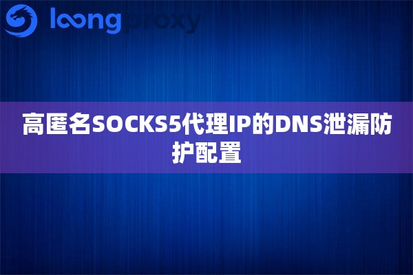 高匿名SOCKS5代理IP的DNS泄漏防护配置