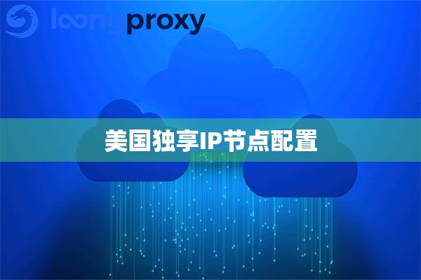 美国独享IP节点配置