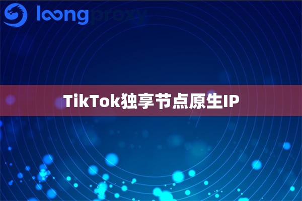 TikTok独享节点原生IP