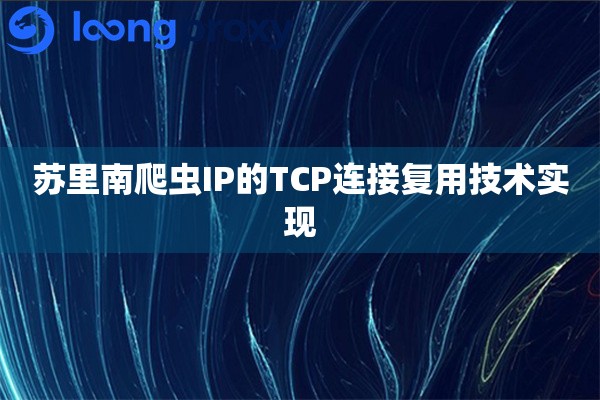 苏里南爬虫IP的TCP连接复用技术实现