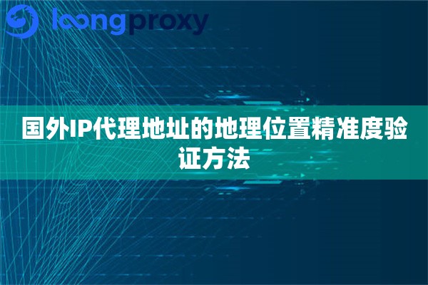 国外IP代理地址的地理位置精准度验证方法