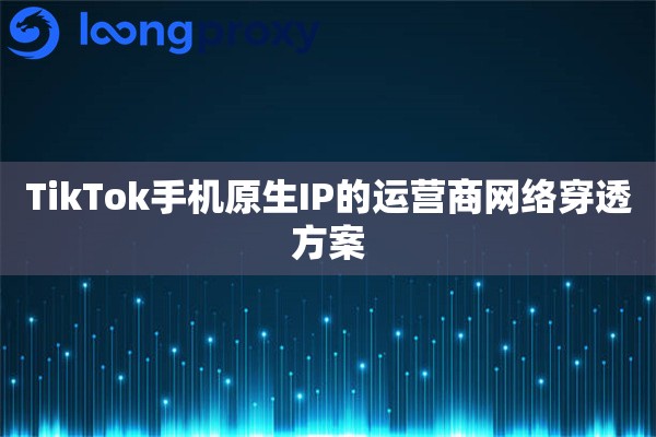TikTok手机原生IP的运营商网络穿透方案