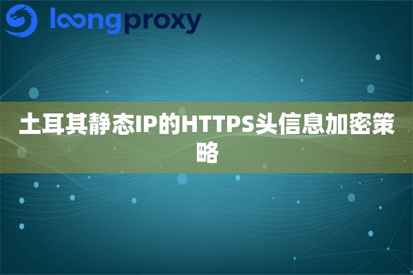 土耳其静态IP的HTTPS头信息加密策略