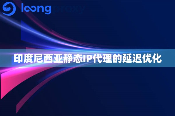 印度尼西亚静态IP代理的延迟优化