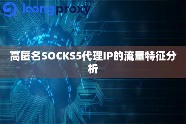 高匿名SOCKS5代理IP的流量特征分析