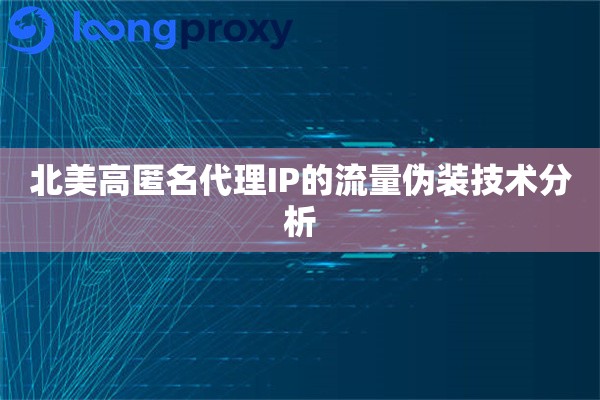 北美高匿名代理IP的流量伪装技术分析