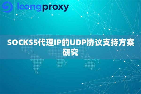 SOCKS5代理IP的UDP协议支持方案研究