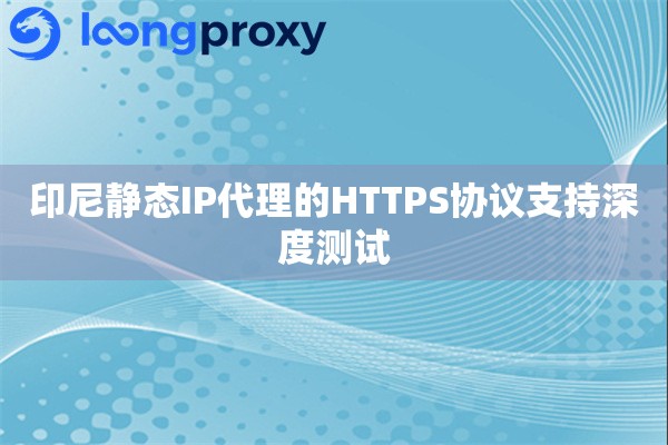 印尼静态IP代理的HTTPS协议支持深度测试