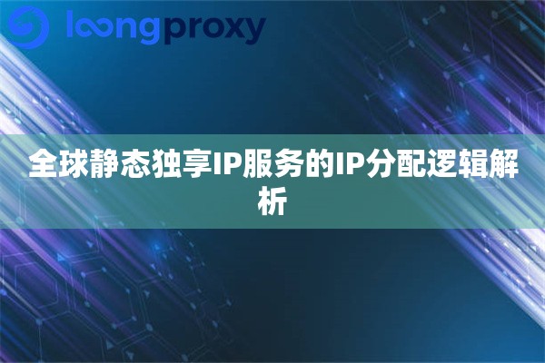 全球静态独享IP服务的IP分配逻辑解析