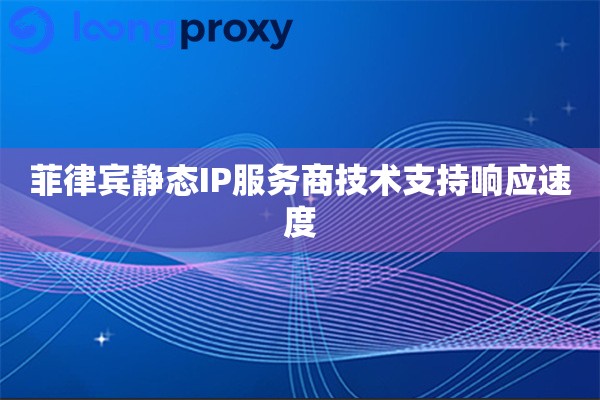 菲律宾静态IP服务商技术支持响应速度