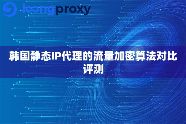 韩国静态IP代理的流量加密算法对比评测