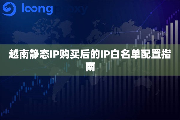 越南静态IP购买后的IP白名单配置指南