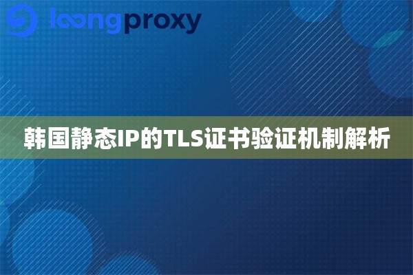 韩国静态IP的TLS证书验证机制解析