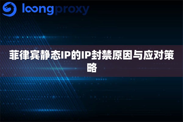菲律宾静态IP的IP封禁原因与应对策略