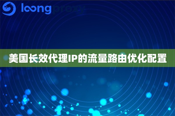 美国长效代理IP的流量路由优化配置