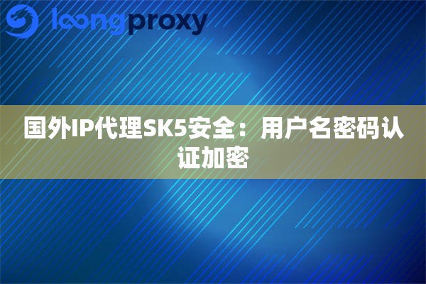 国外IP代理SK5安全：用户名密码认证加密