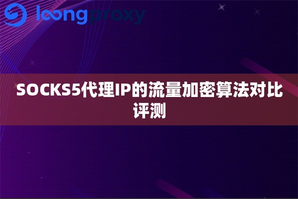 SOCKS5代理IP的流量加密算法对比评测