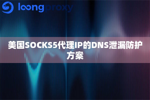美国SOCKS5代理IP的DNS泄漏防护方案