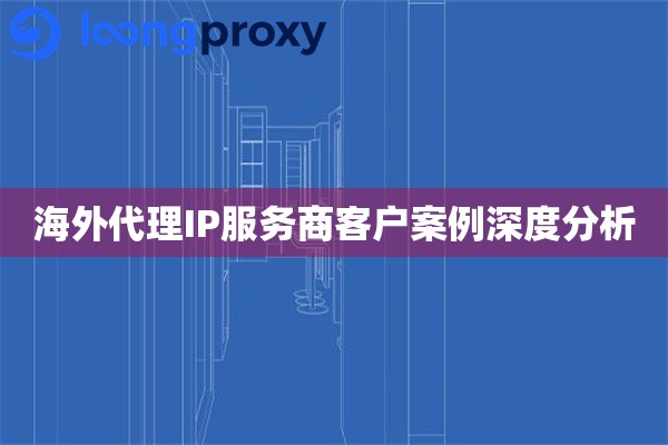 海外代理IP服务商客户案例深度分析