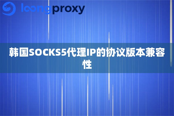 韩国SOCKS5代理IP的协议版本兼容性