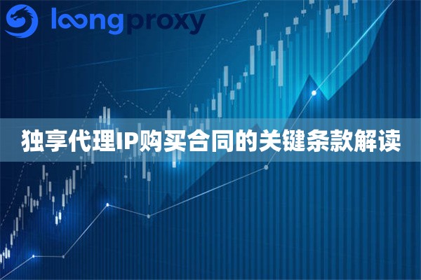 独享代理IP购买合同的关键条款解读