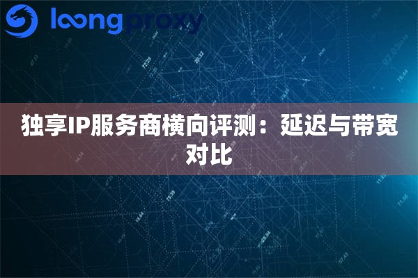 独享IP服务商横向评测：延迟与带宽对比
