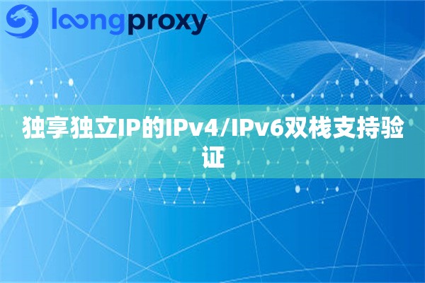 独享独立IP的IPv4/IPv6双栈支持验证