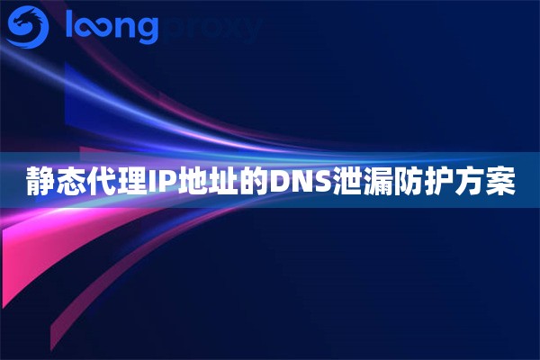 静态代理IP地址的DNS泄漏防护方案