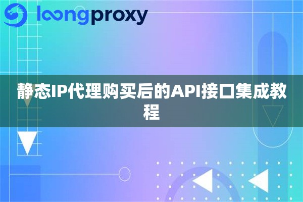 静态IP代理购买后的API接口集成教程