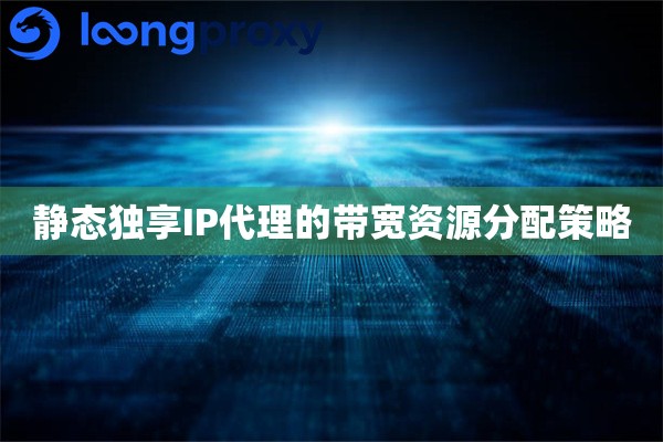 静态独享IP代理的带宽资源分配策略