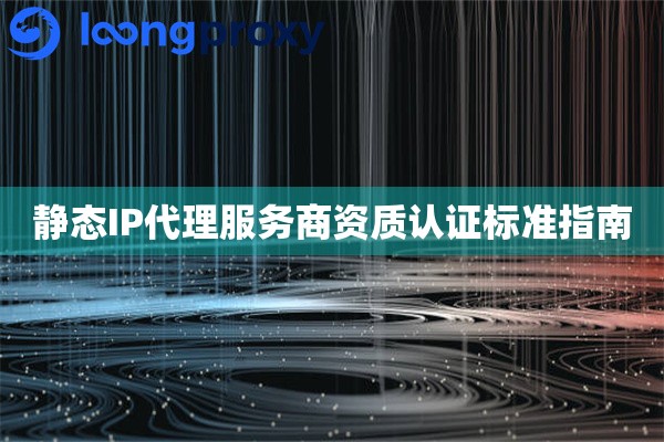 静态IP代理服务商资质认证标准指南